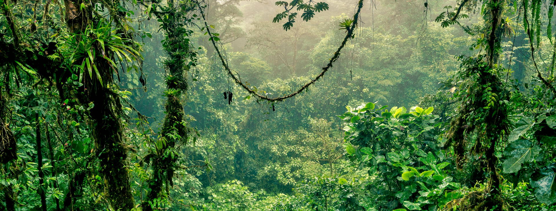 Ubytování KSJ Obrázek31