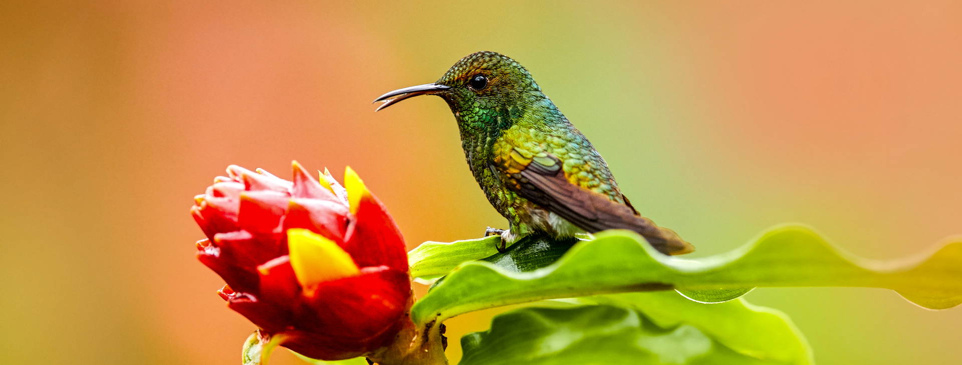 Ubytování KSJ Obrázek4