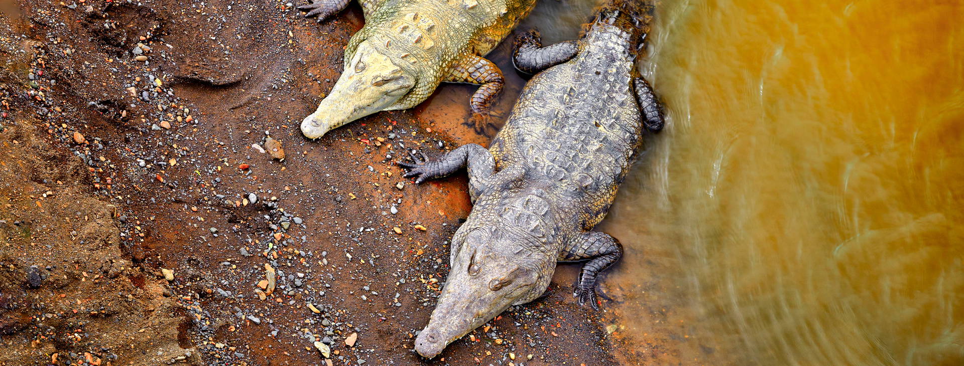 Ubytování KSJ Obrázek35