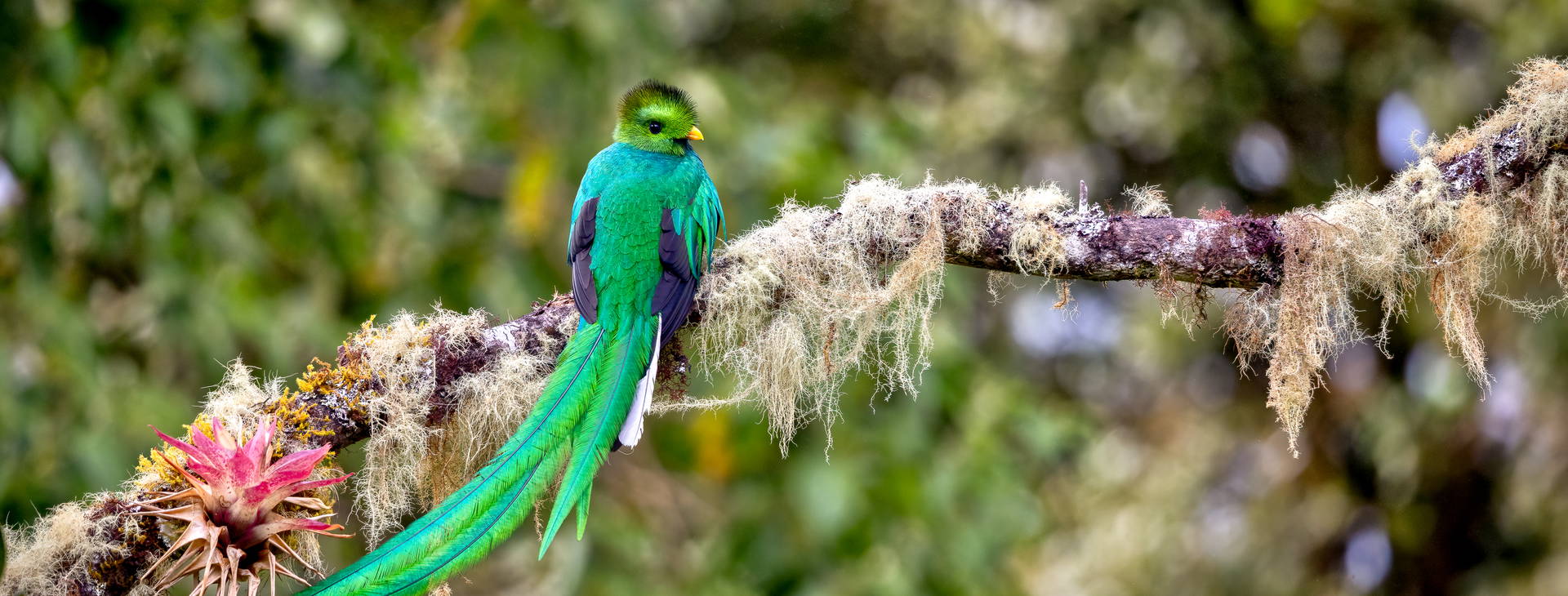 Ubytování KSJ Obrázek36