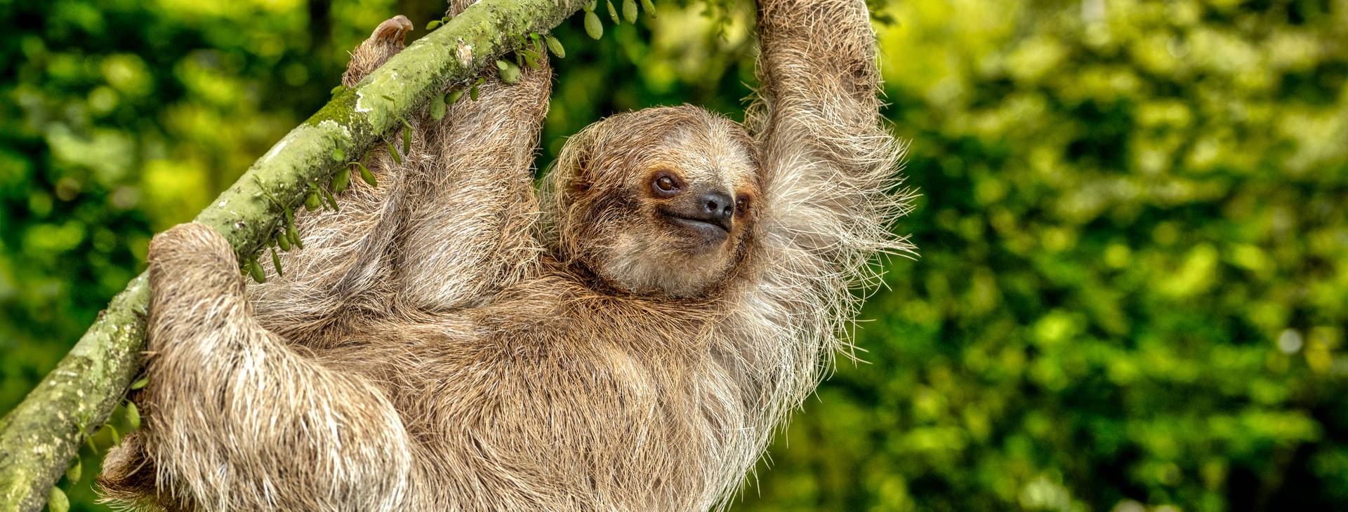 Ubytování KSJ Obrázek28