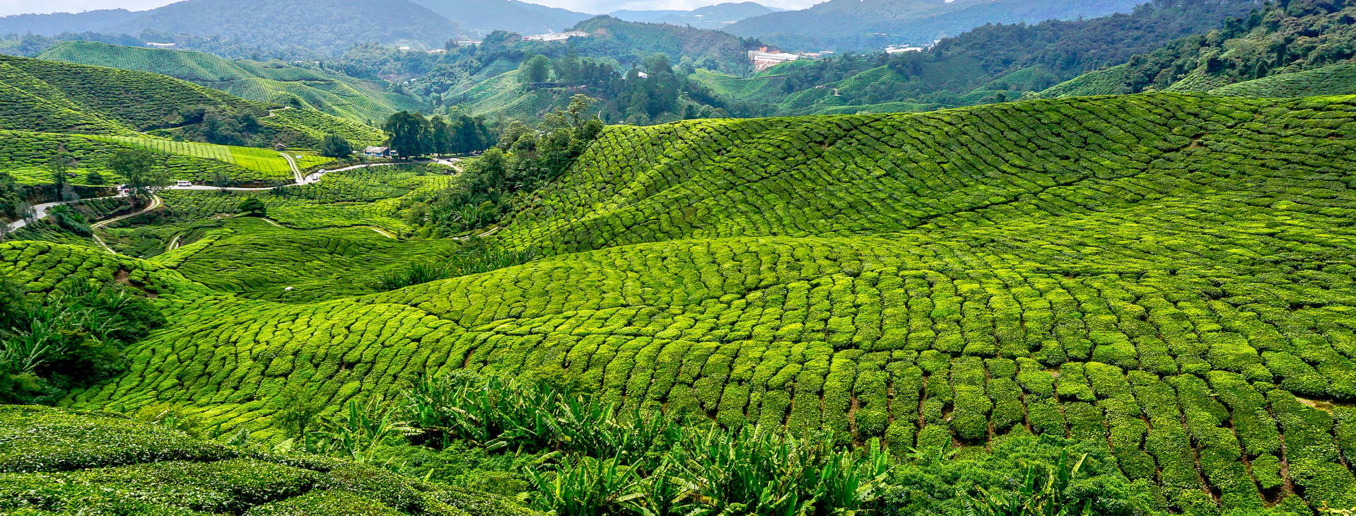 Ubytování SIG Obrázek11