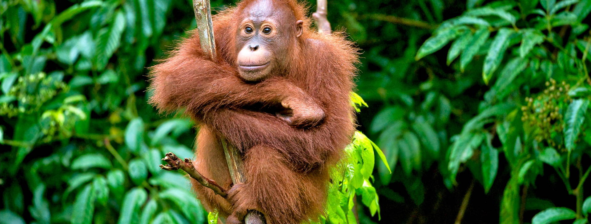 Ubytování SIG Obrázek16