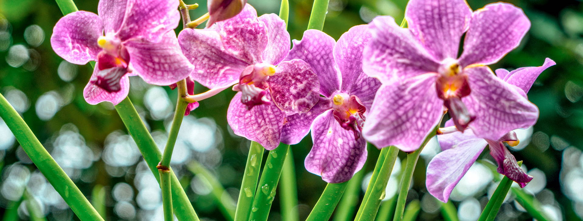 Ubytování SIG Obrázek17