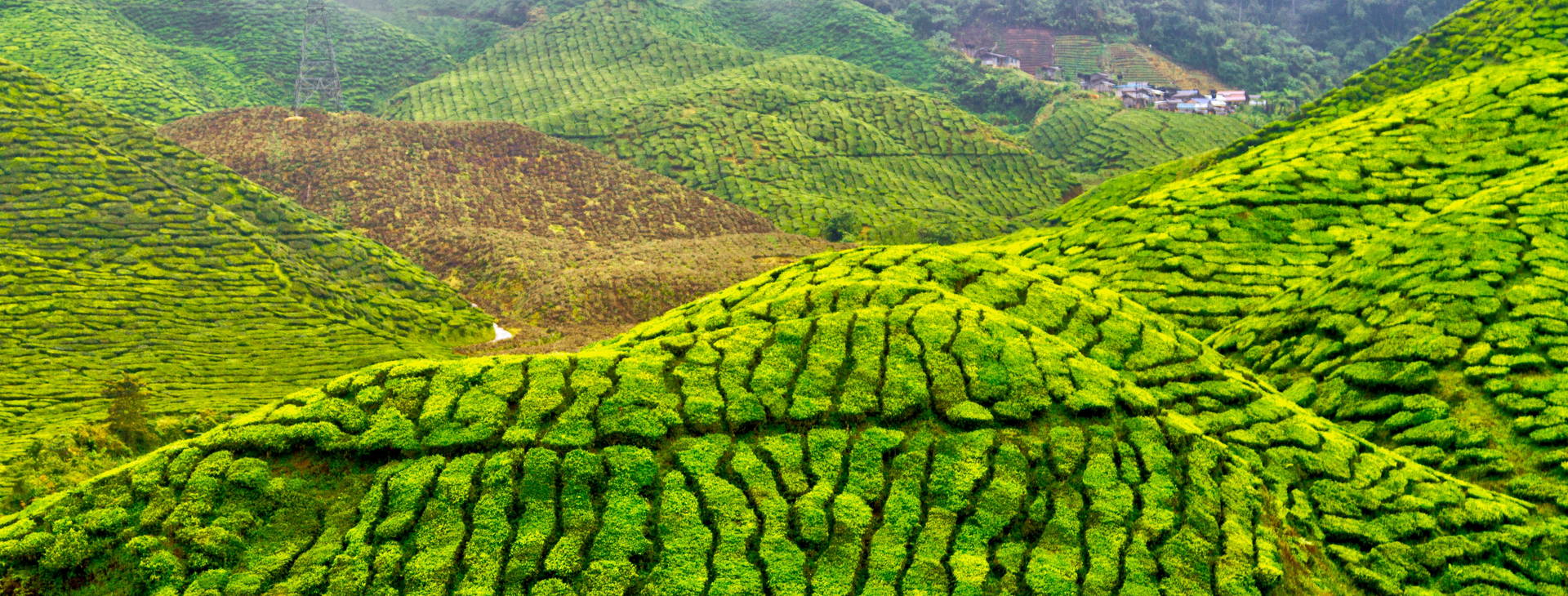 Ubytování SIG Obrázek18