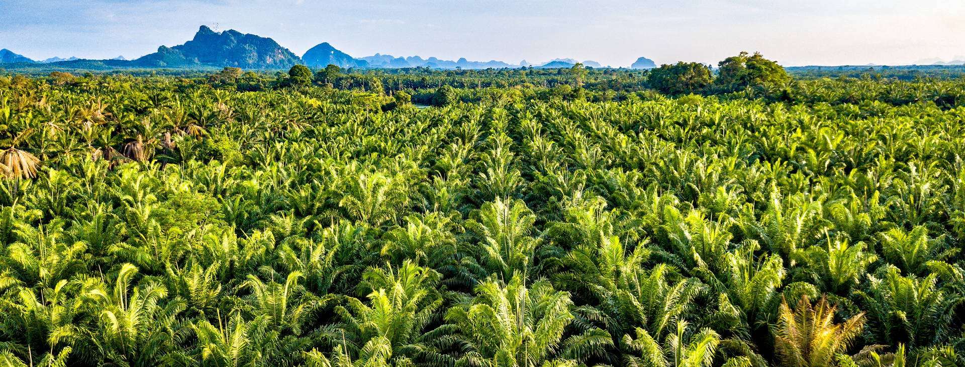 Ubytování SIG Obrázek3