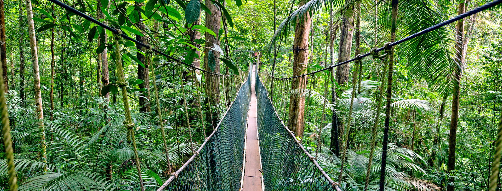 Ubytování SIG Obrázek13