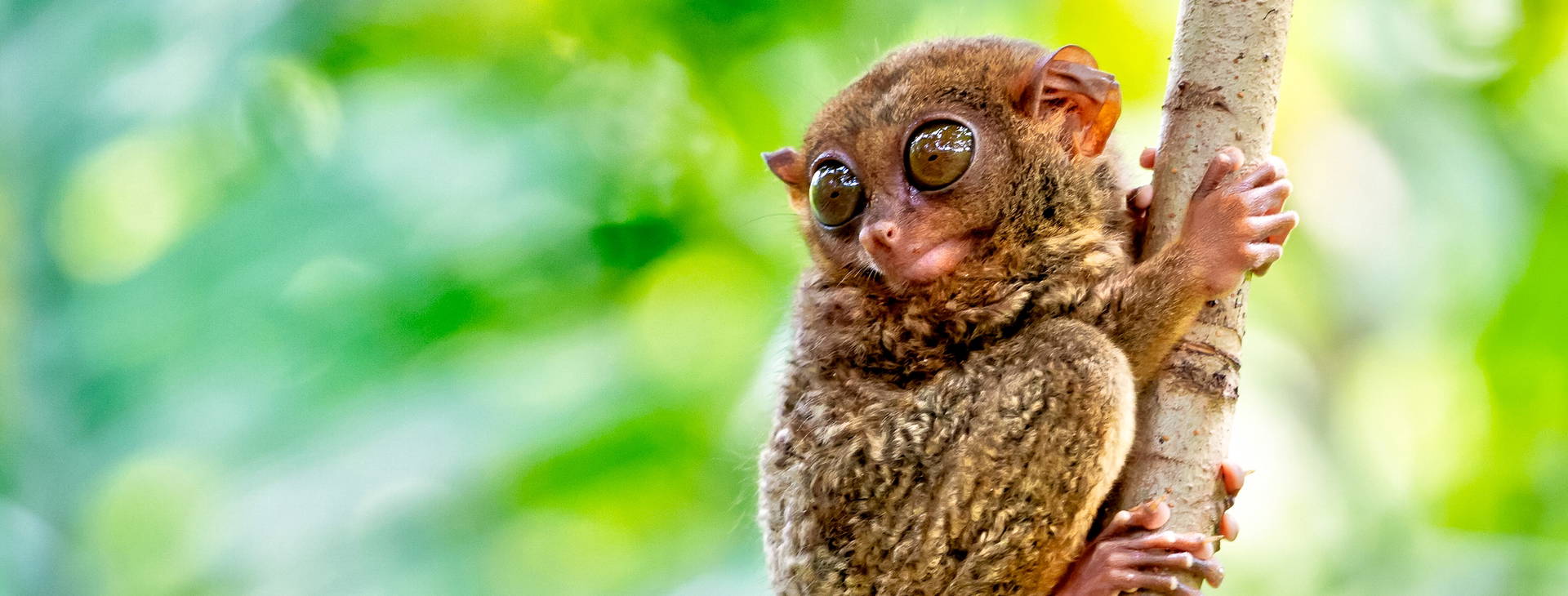 Ubytování FMK Obrázek4