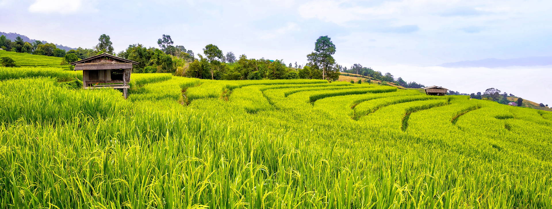 Ubytování FMK Obrázek1