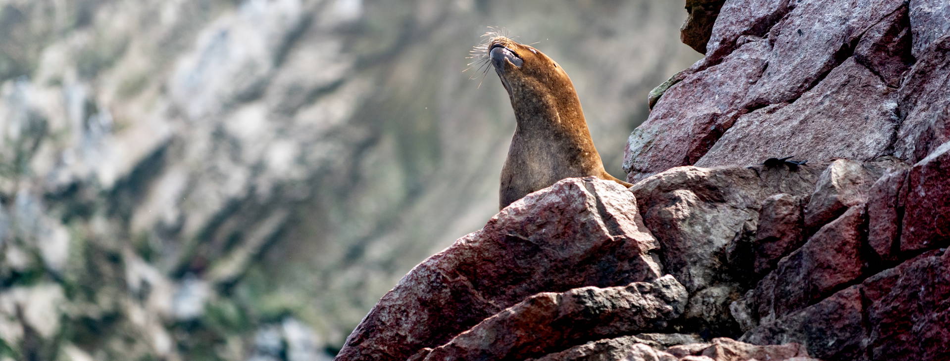 Ubytování PER Obrázek5