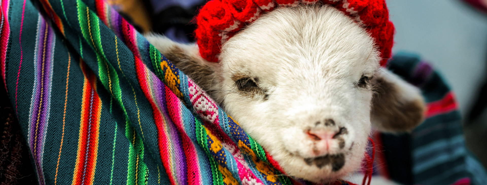 Ubytování PER Obrázek6