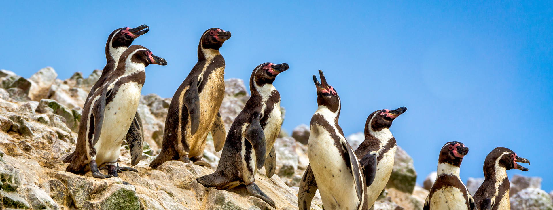 Ubytování PER Obrázek13