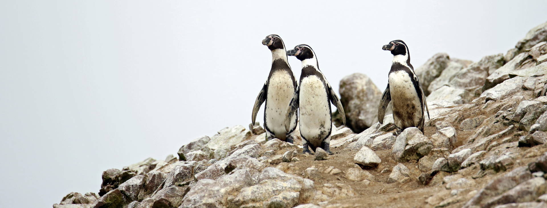 Ubytování PER Obrázek19