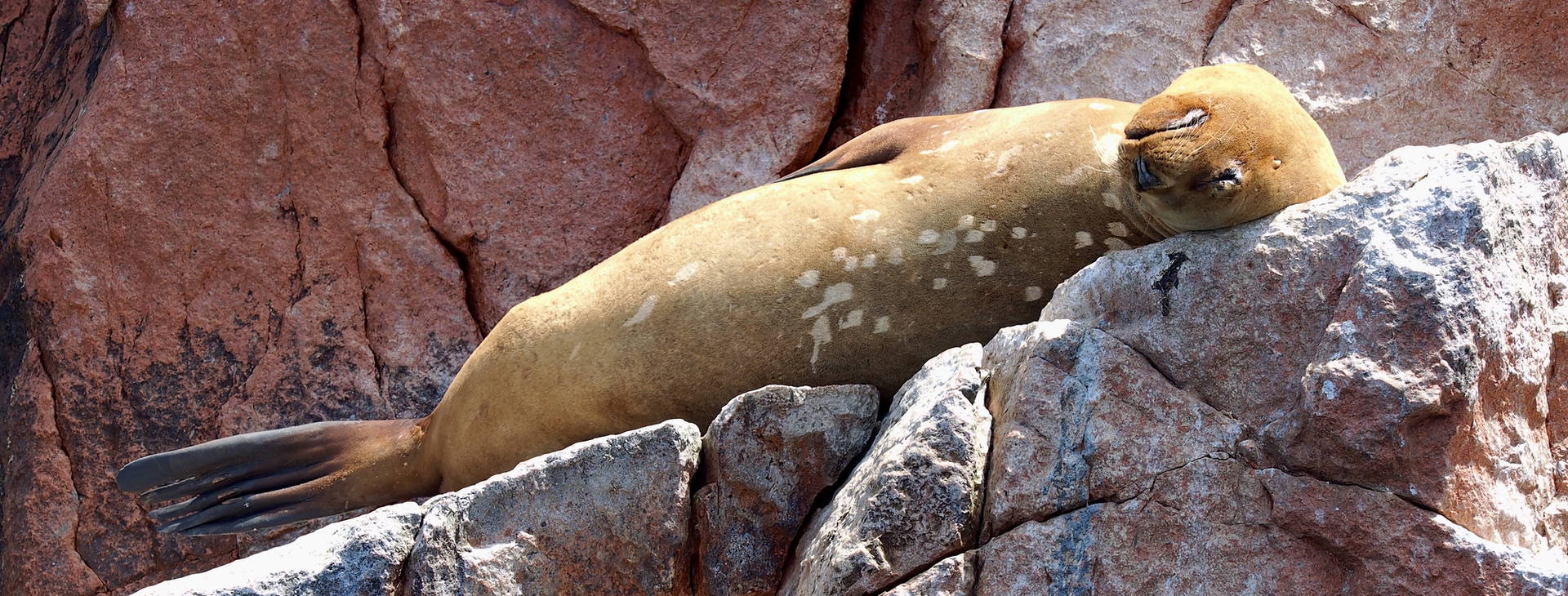 Ubytování PER Obrázek24