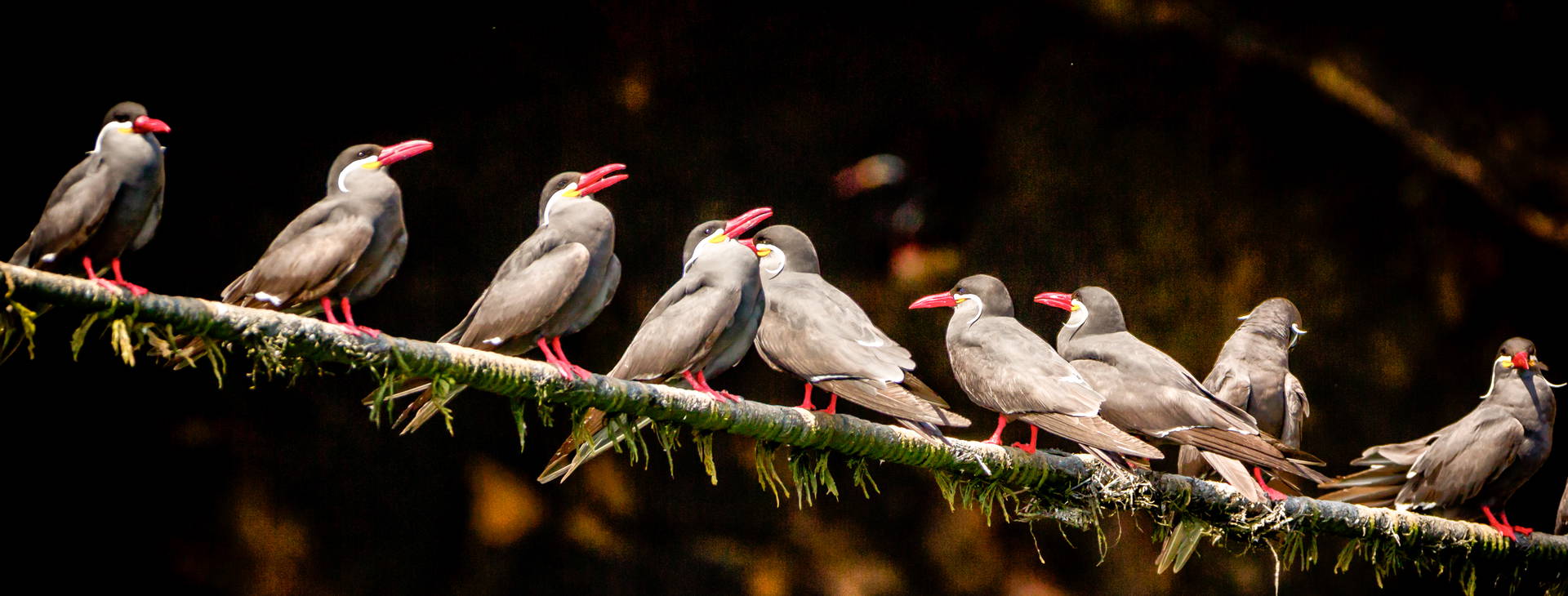Ubytování PER Obrázek26