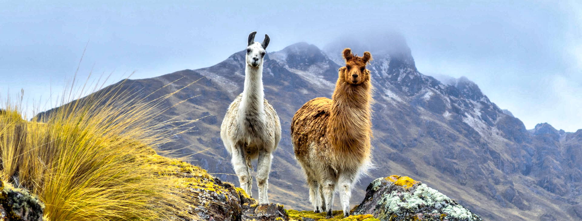 Ubytování PER Obrázek27