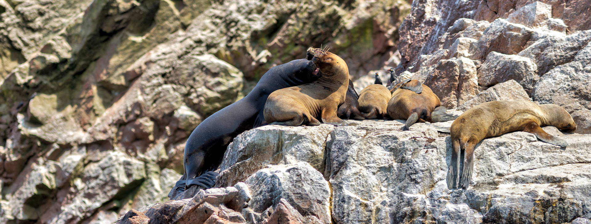 Ubytování PER Obrázek34