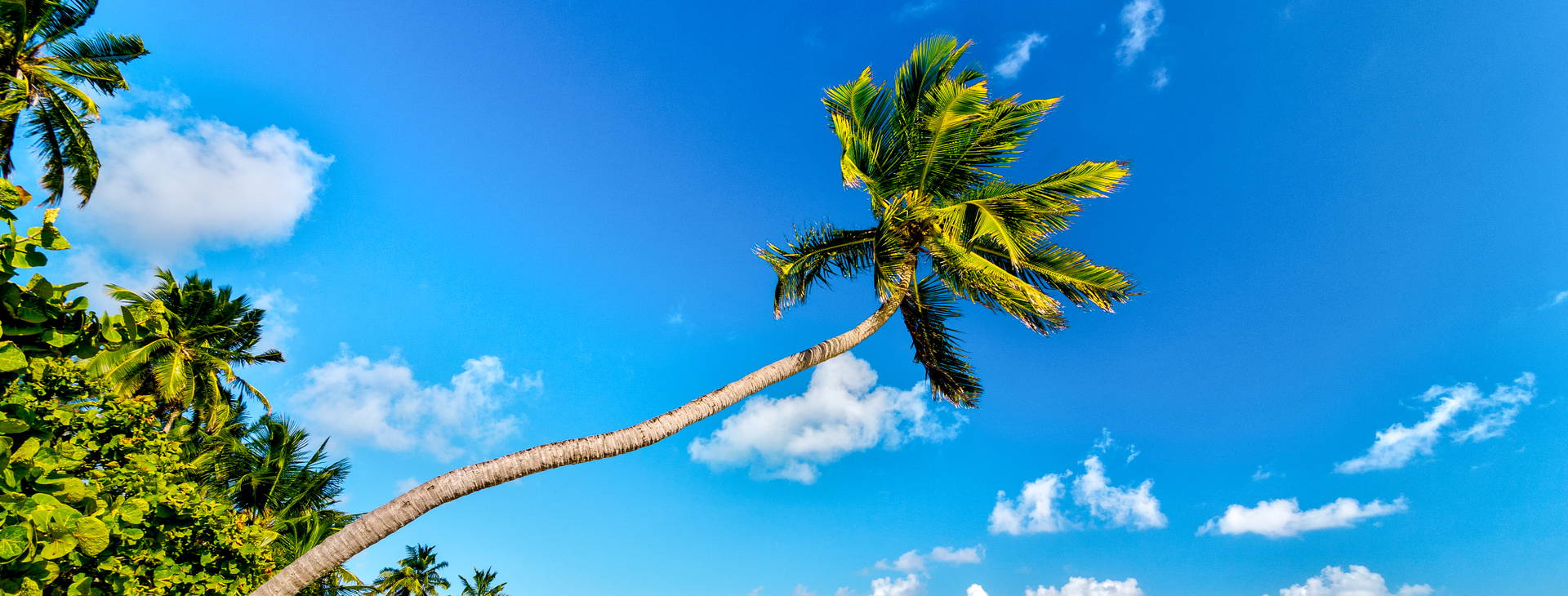 Ubytování KOA Obrázek0