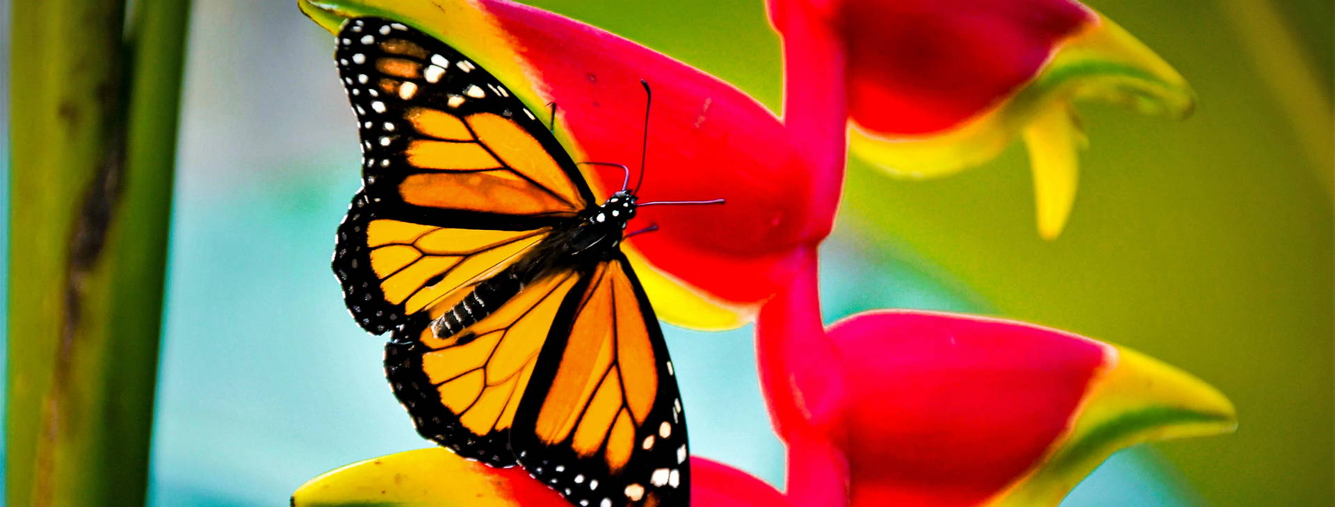 Ubytování JME Obrázek5