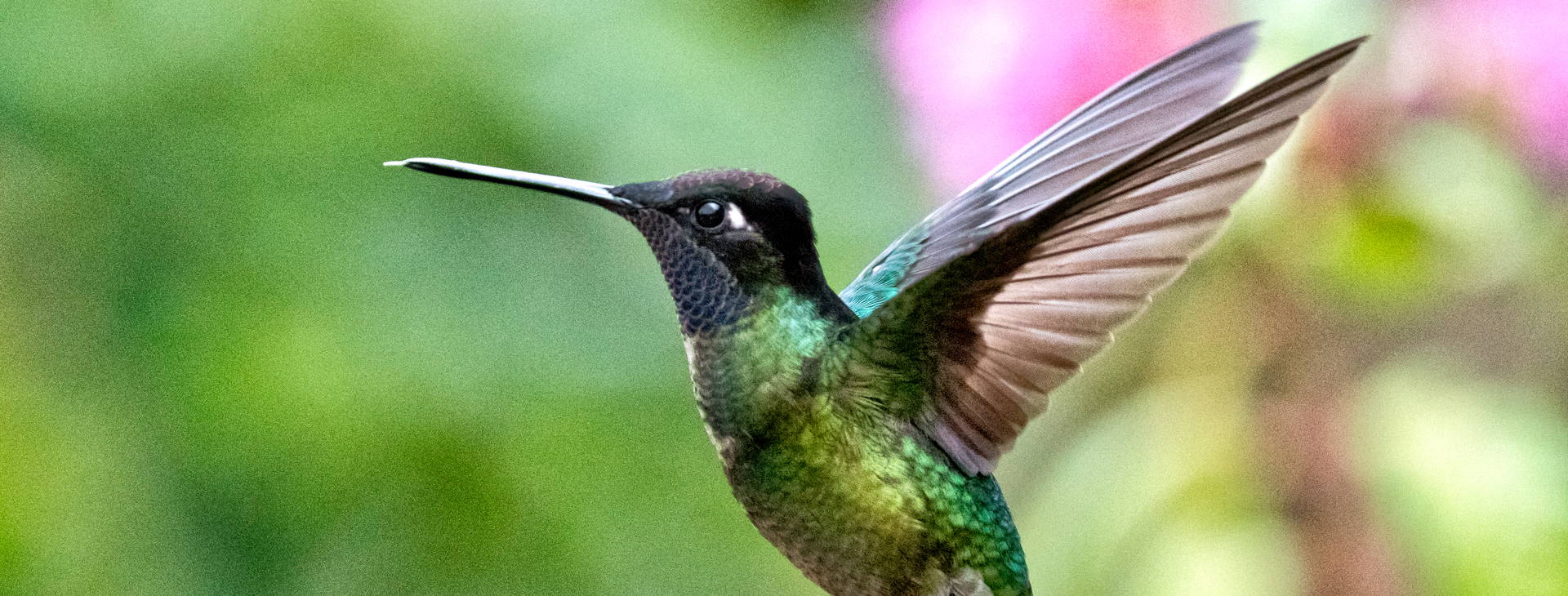 Ubytování JME Obrázek19