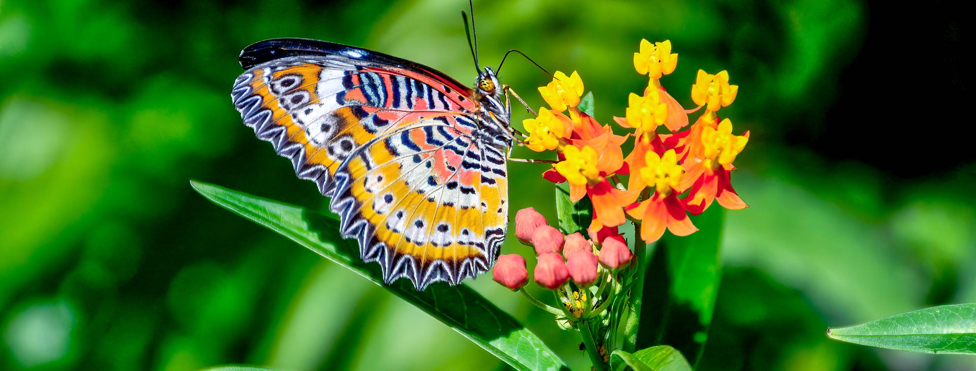 Ubytování JME Obrázek20