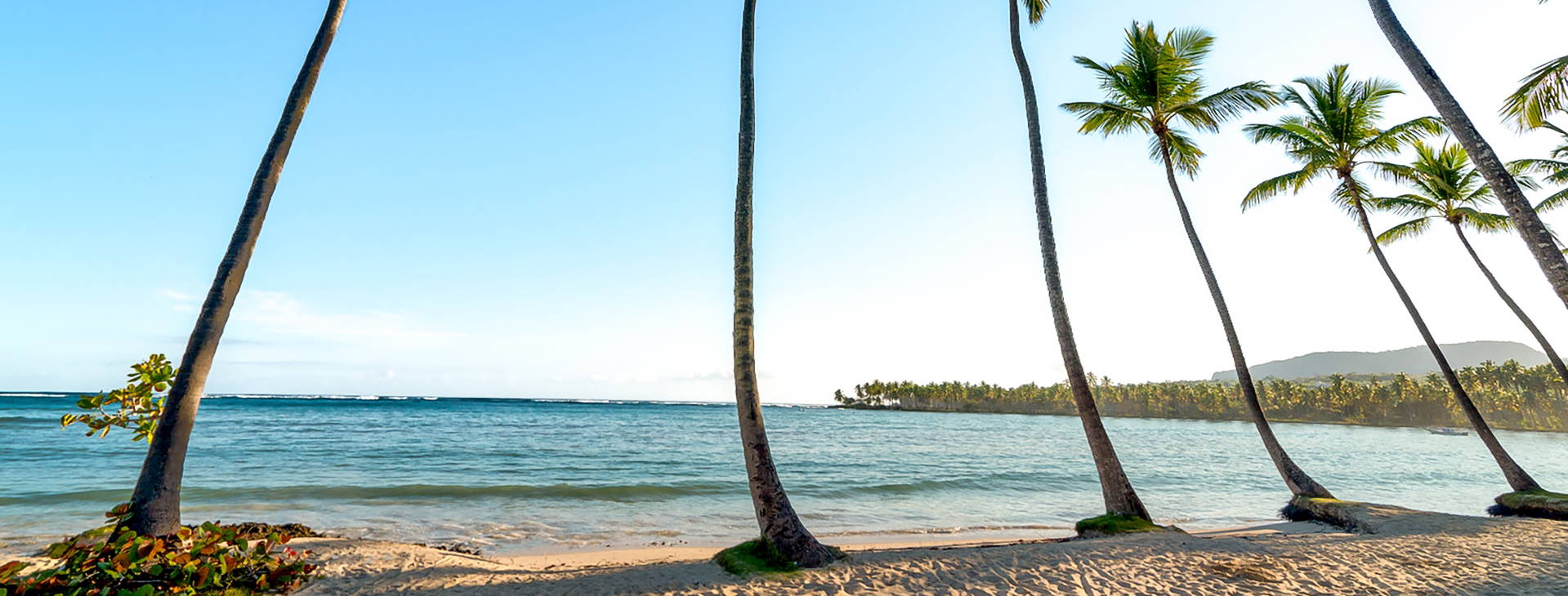 Wyndham Alltra Samana  Obrázek16