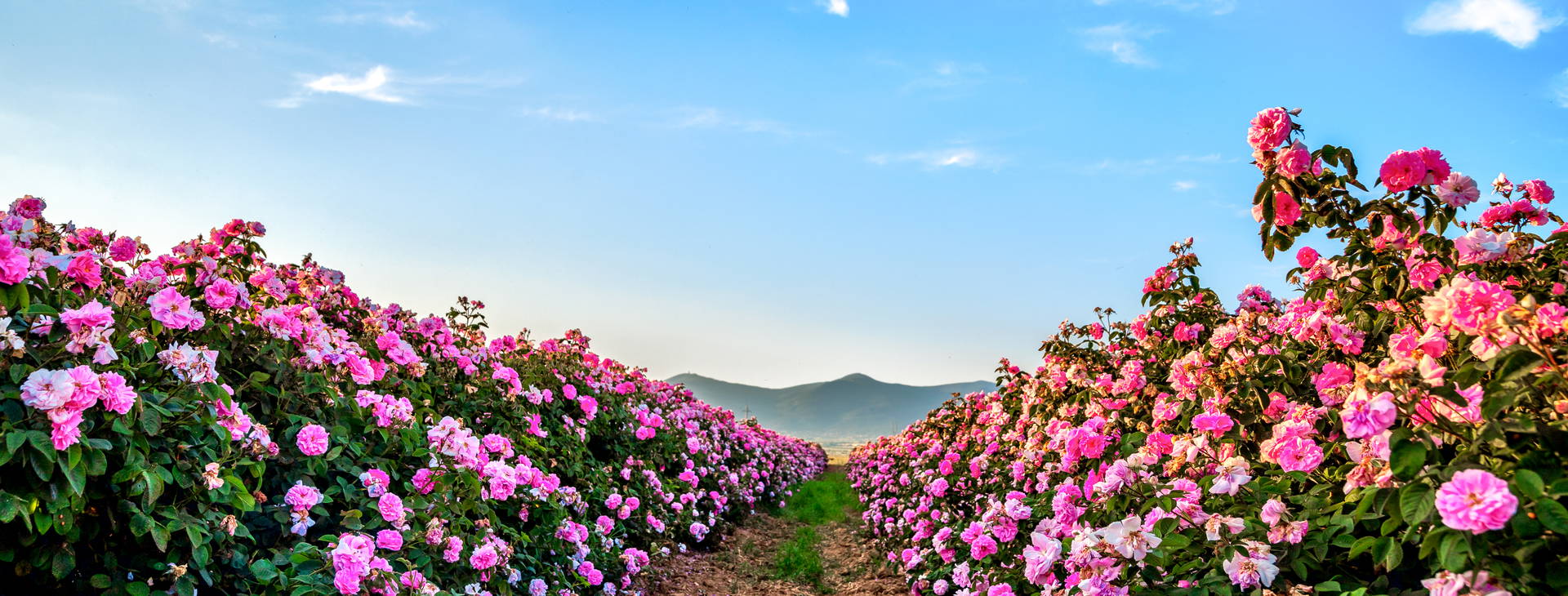 Ubytování ARD Obrázek20