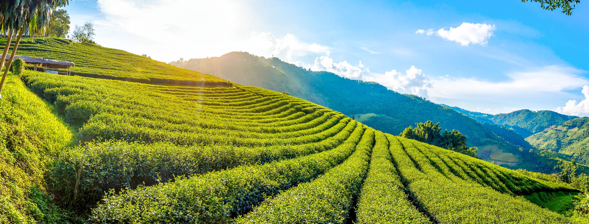 Ubytování TAT Obrázek12