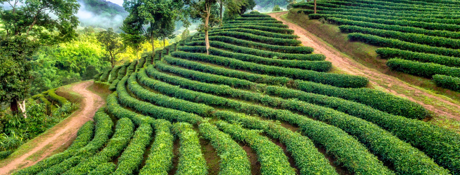 Ubytování TAT Obrázek1