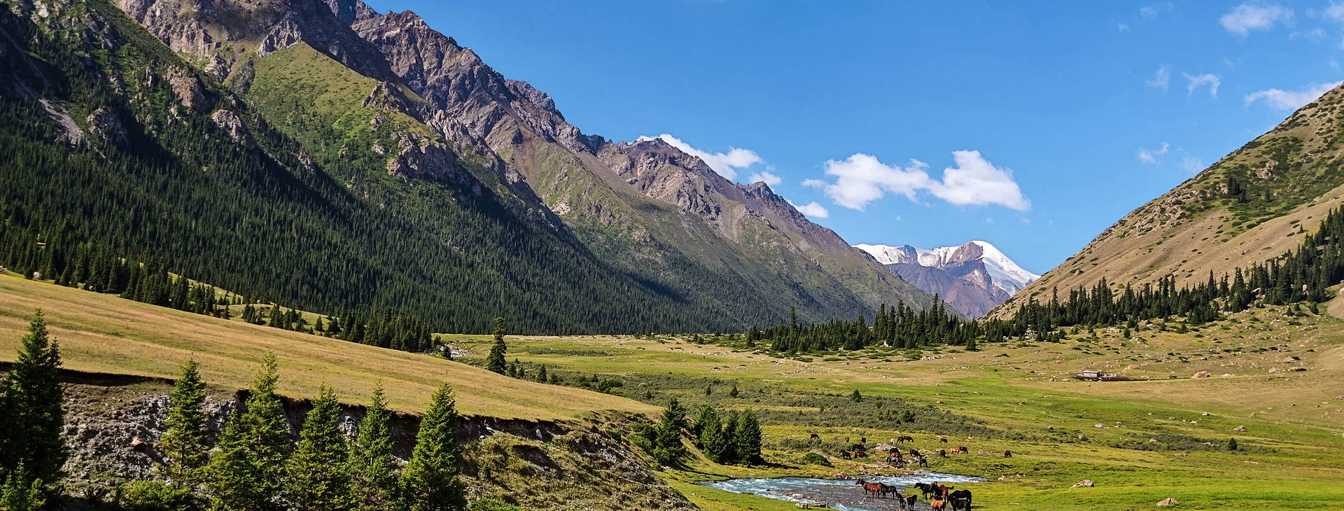 ﻿Ubytování UZK Obrázek38