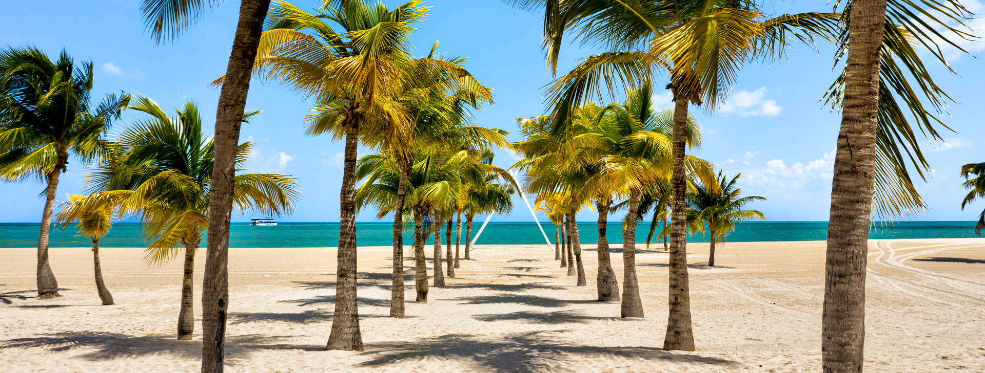 Ubytování MCE (Celebrity Constellation) Obrázek3