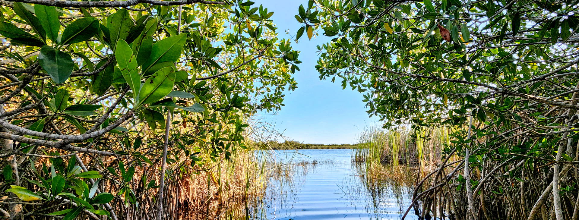 Ubytování MCE (Celebrity Constellation) Obrázek14
