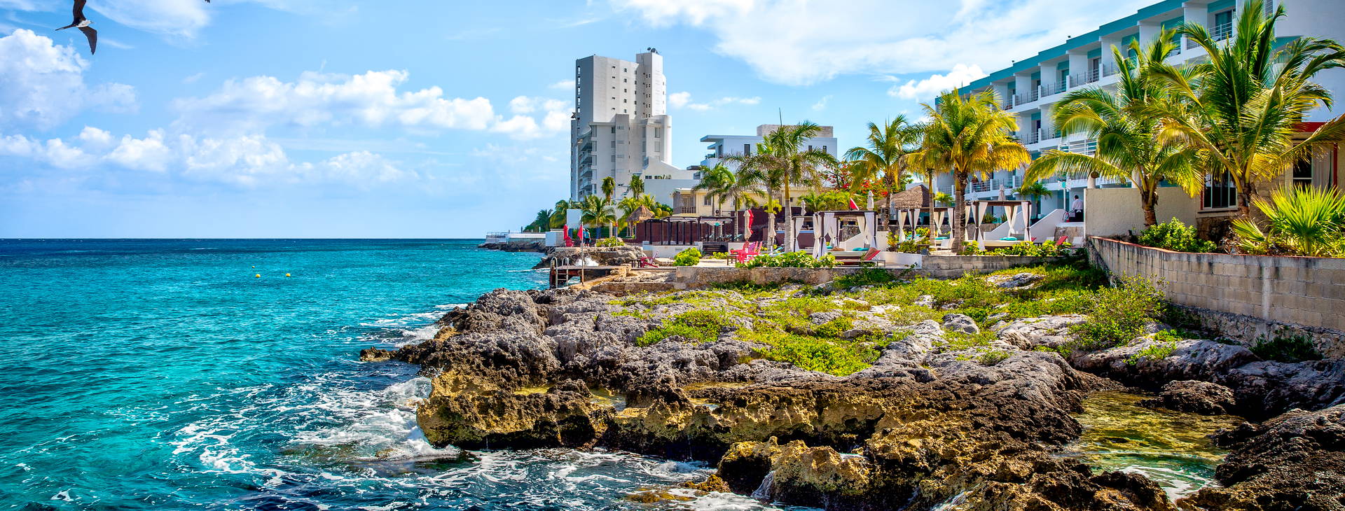 Ubytování MCE (Celebrity Constellation) Obrázek7