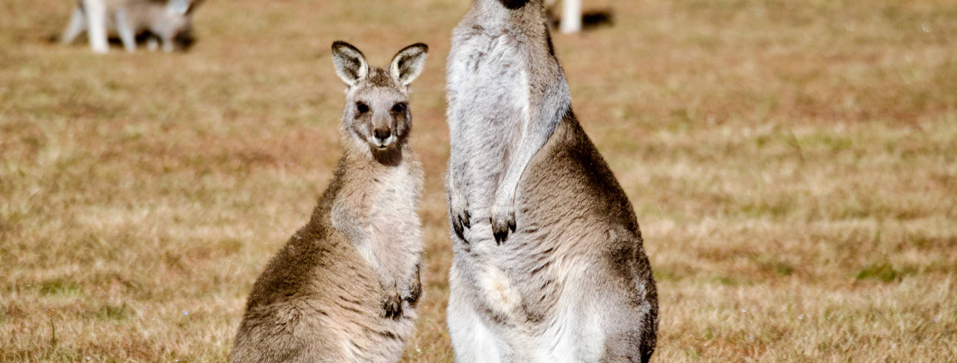Ubytování ANC (Norwegian Spirit) Obrázek4