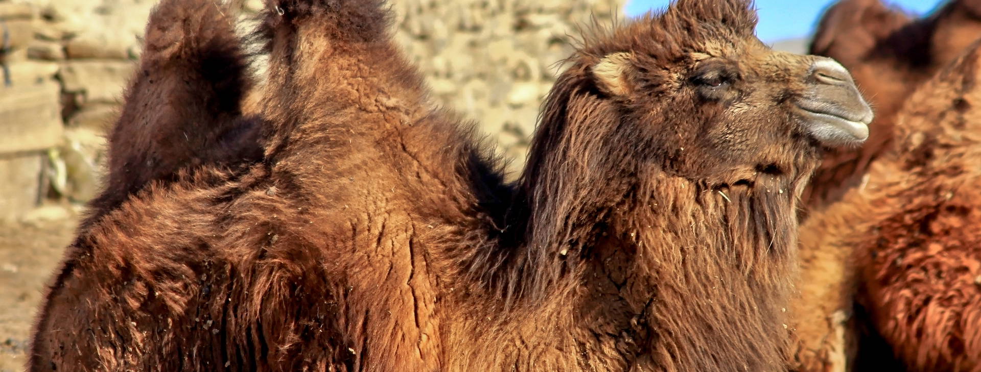 Ubytování MGN Obrázek2
