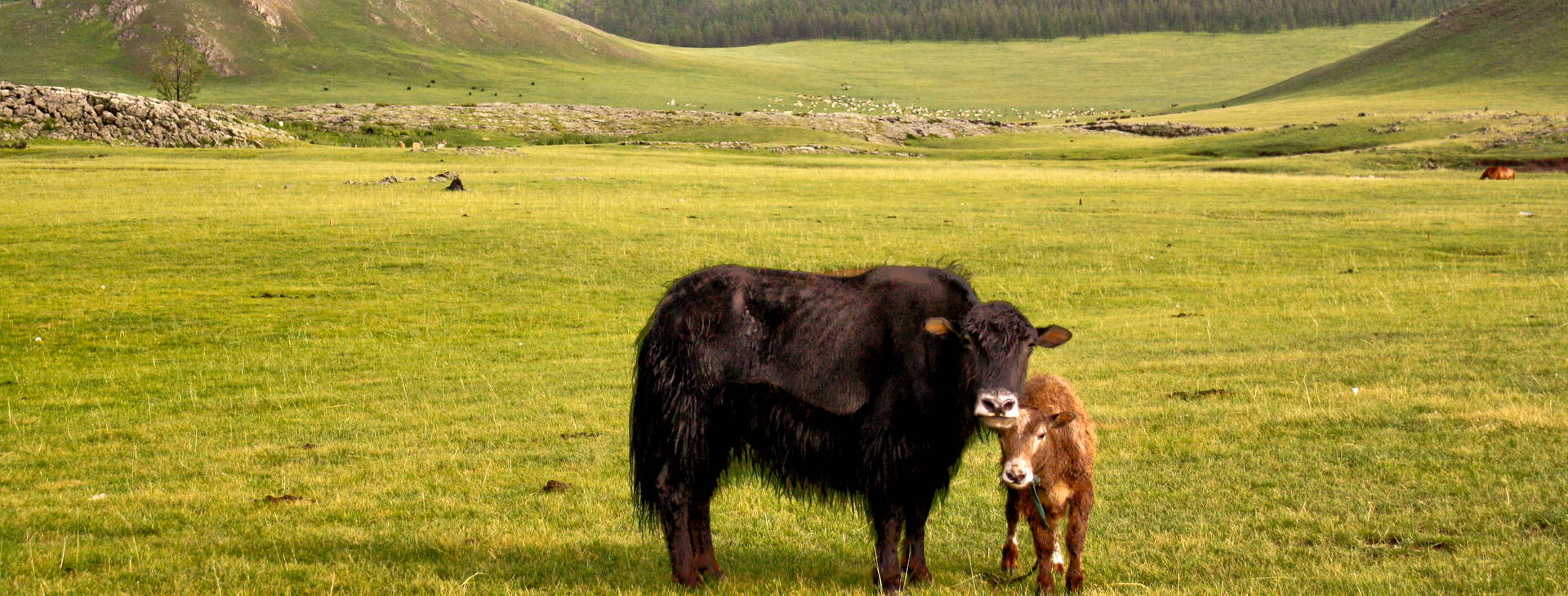 Ubytování MGN Obrázek11