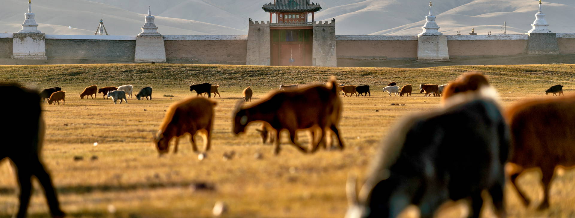 Ubytování MGN Obrázek13