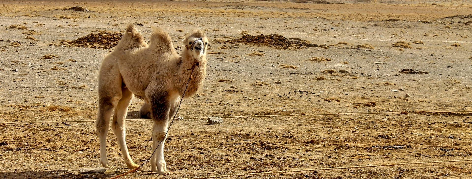 Ubytování MGN Obrázek10