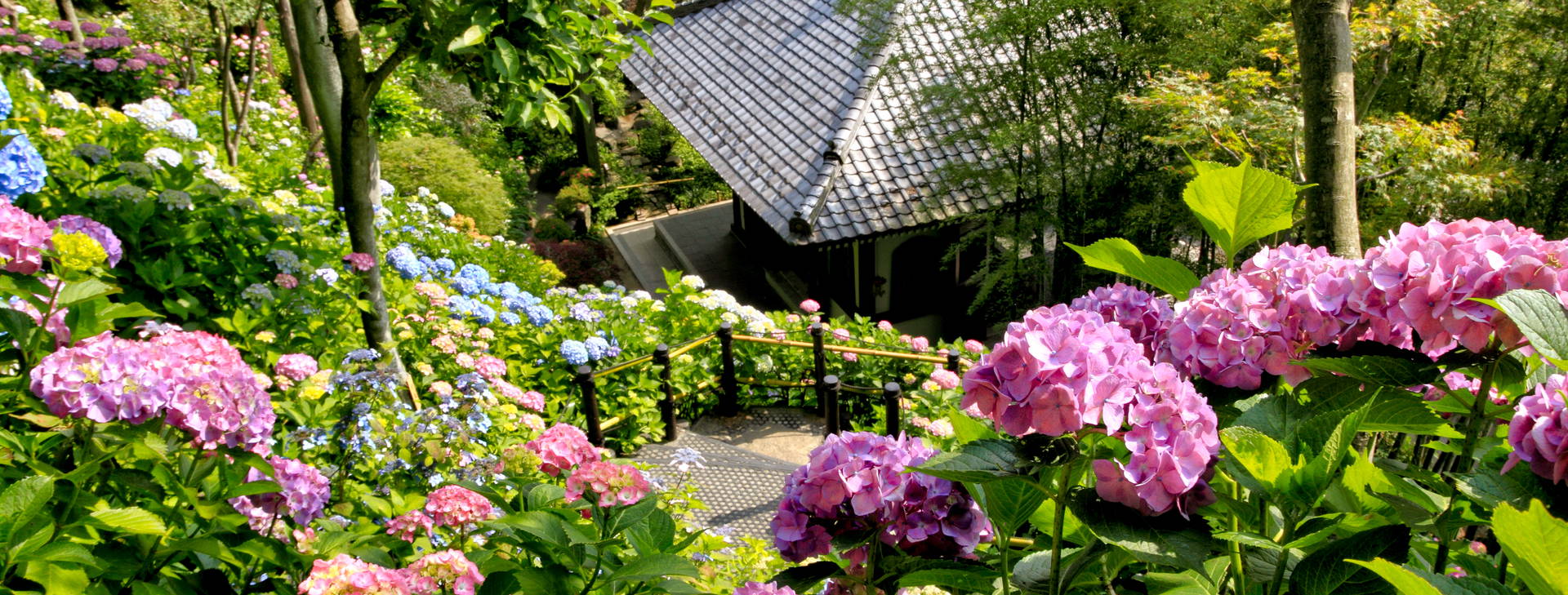 Ubytování JAR Obrázek16