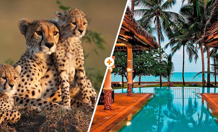 Neptune Village Beach Resort & SPA (3 noci + poznávací část 4 noci)-obr