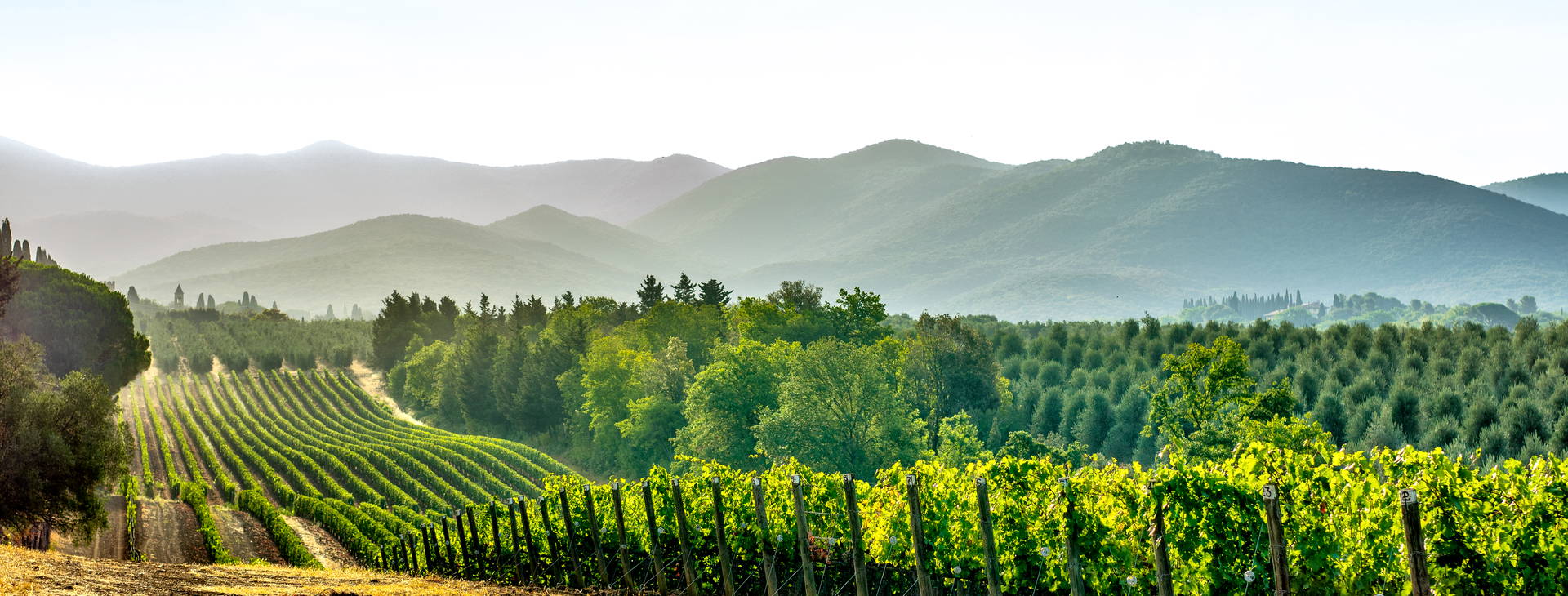 Ubytování AZG Obrázek0