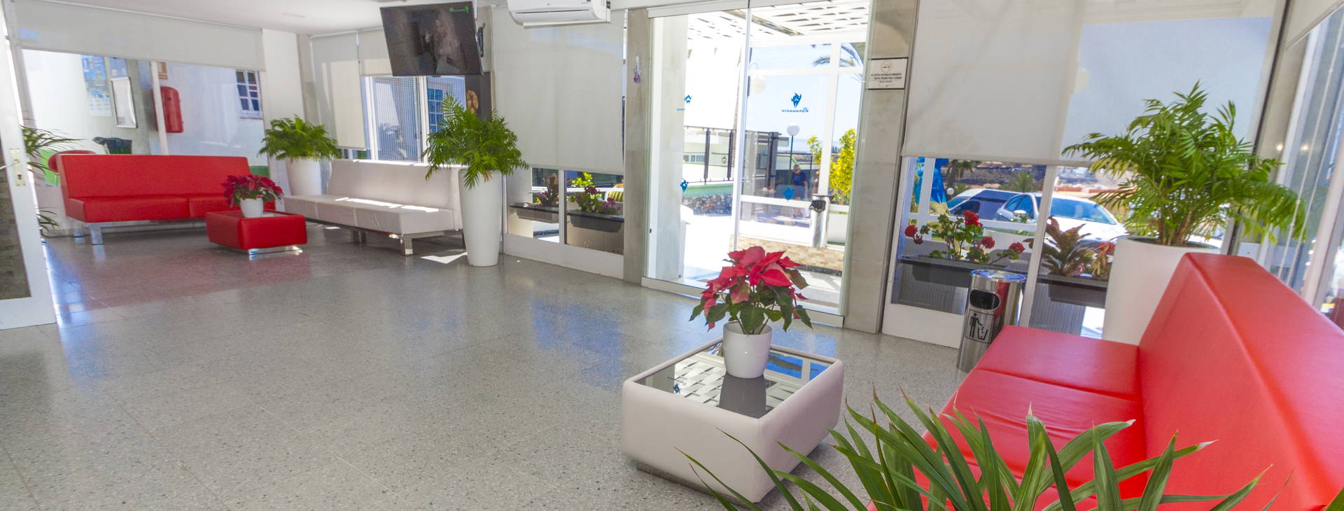 Vista Oasis Obrázek16