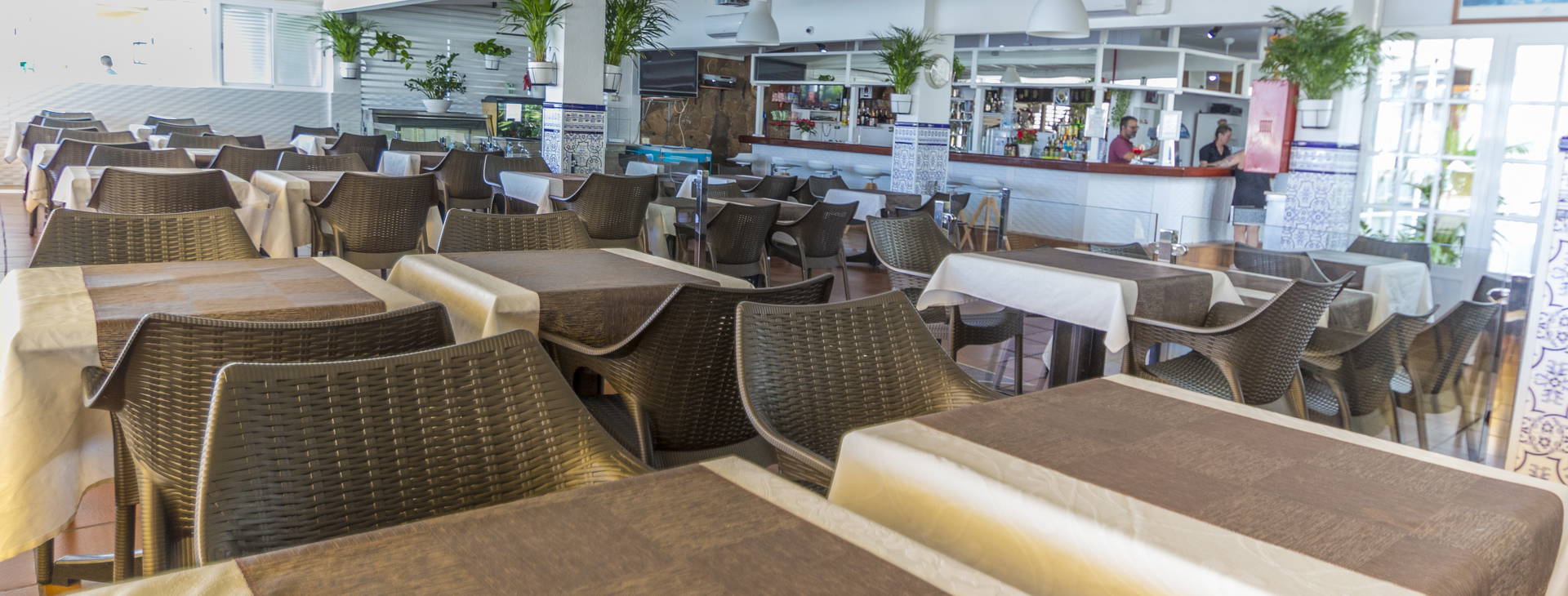 Vista Oasis Obrázek12