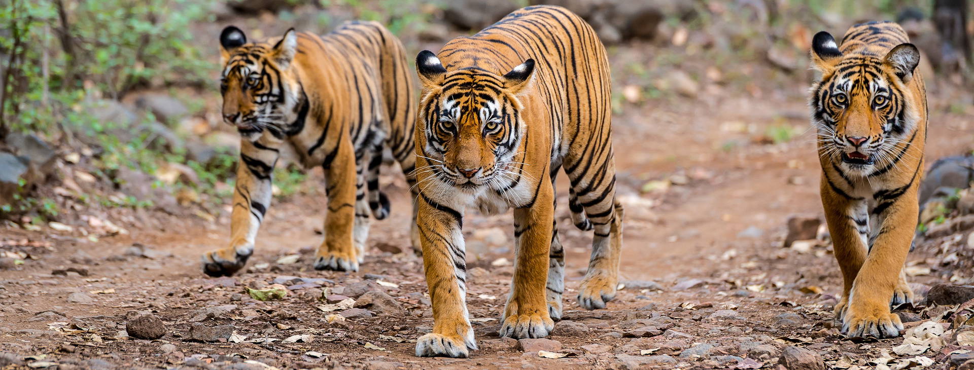 Ubytování ITG Obrázek0