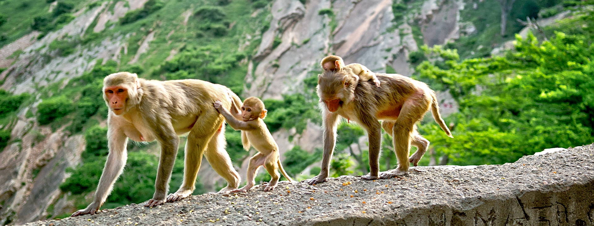 Ubytování ITG Obrázek11