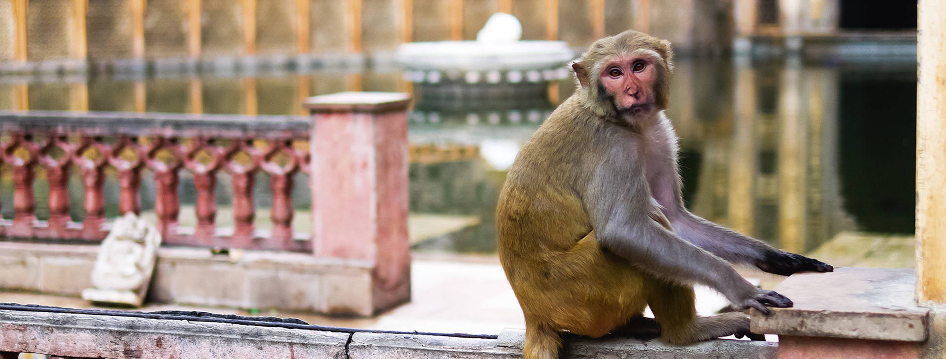 Ubytování ITG Obrázek10