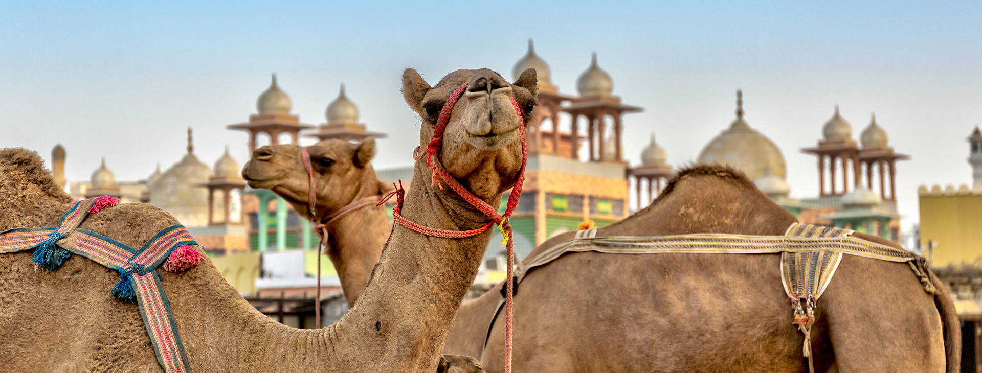 Ubytování ZIH Obrázek0