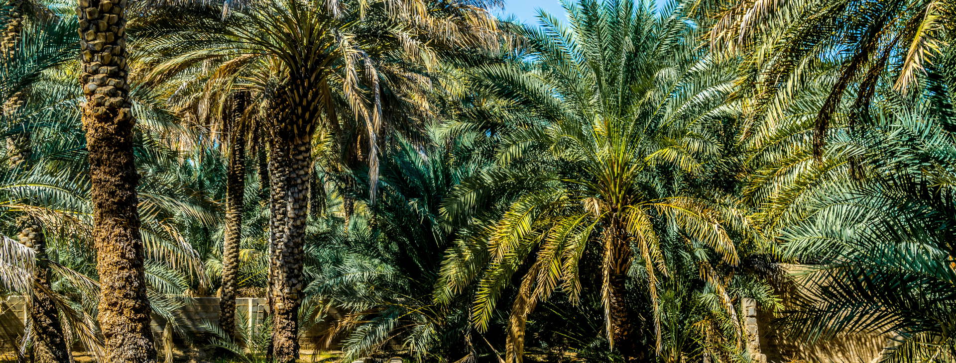 Ubytování ZIH Obrázek10