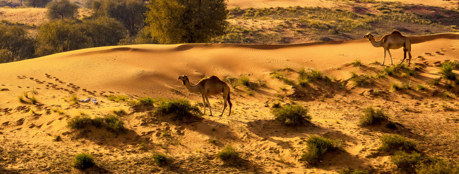 Ubytování ZIH Obrázek18