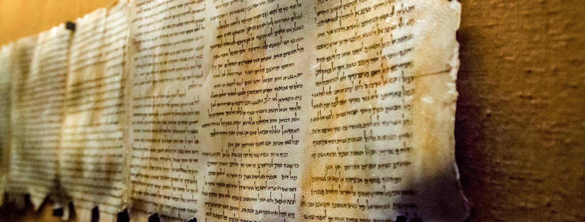 Ubytování IJO Obrázek23